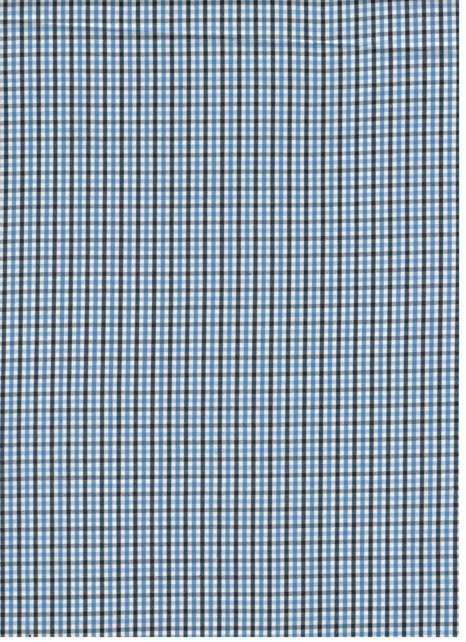 Poplin Gingham Checks 1006F
