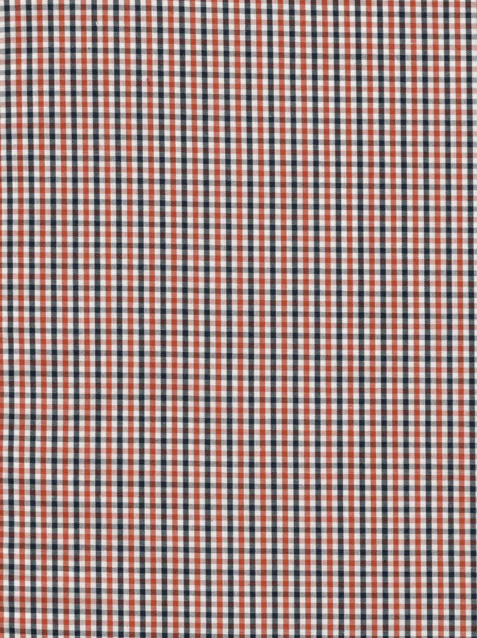 Poplin Gingham Checks 1006G