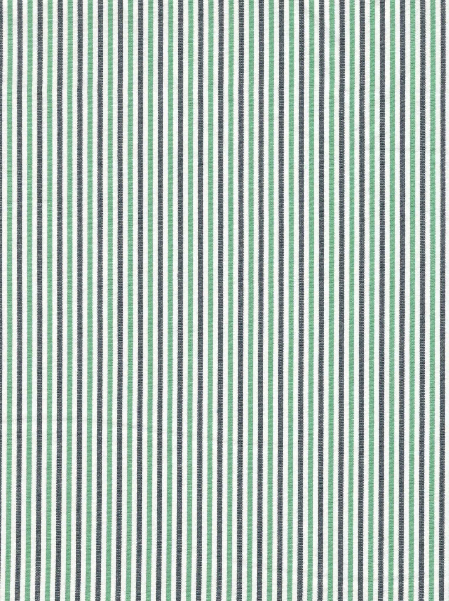 Poplin Gingham Stripe 1007E