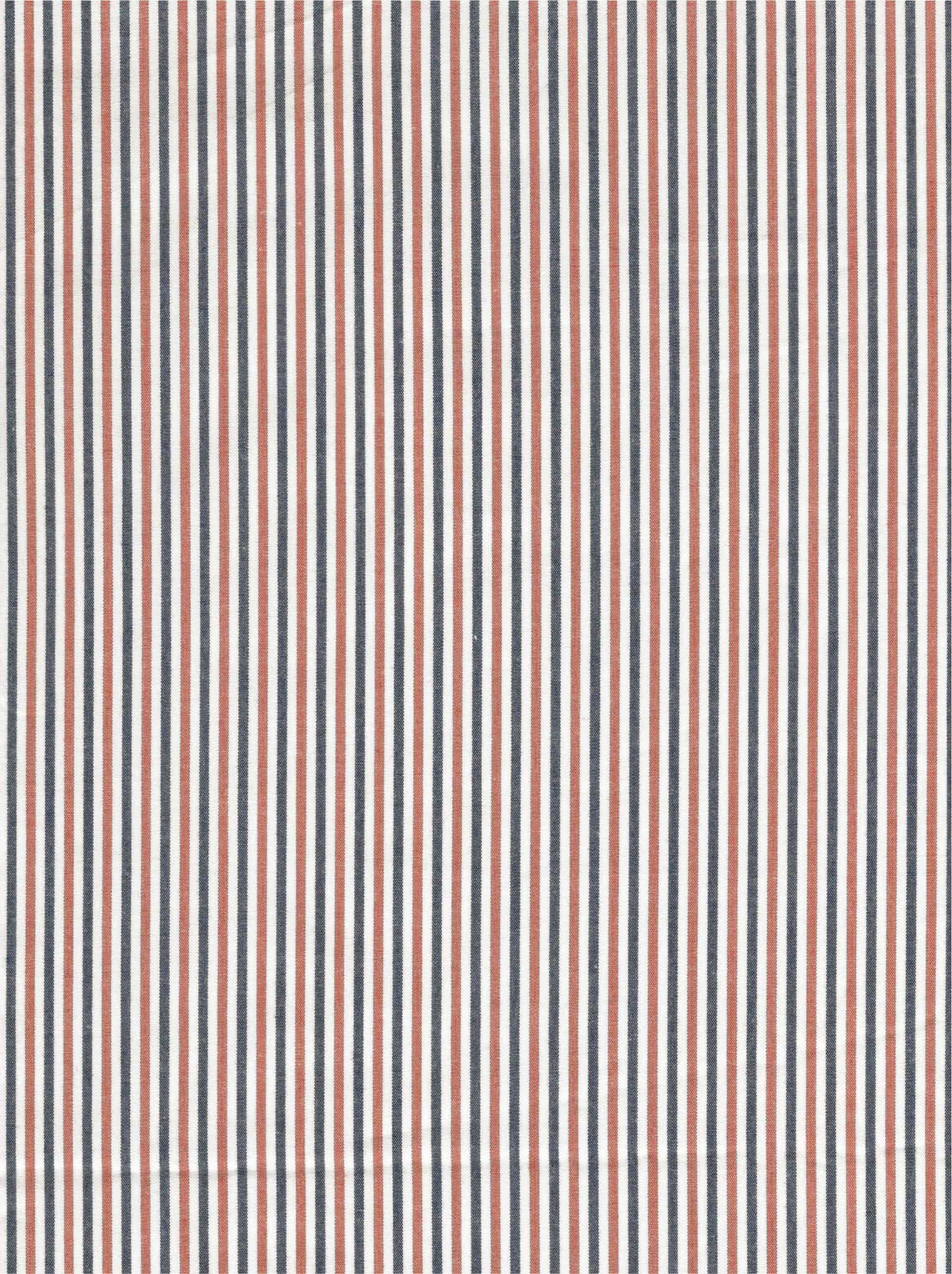 Poplin Gingham Stripe 1007G