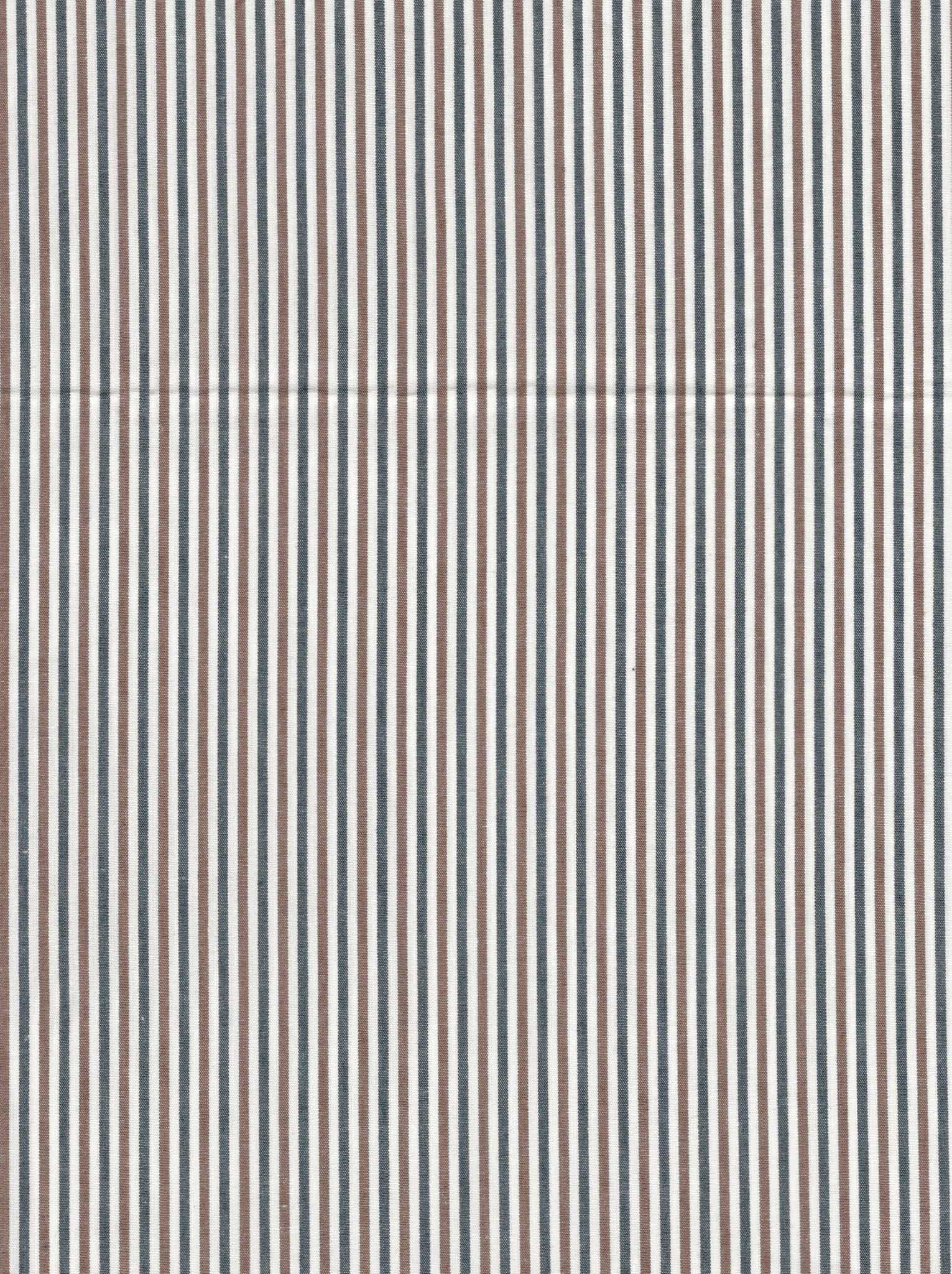 Poplin Gingham Stripe 1007H