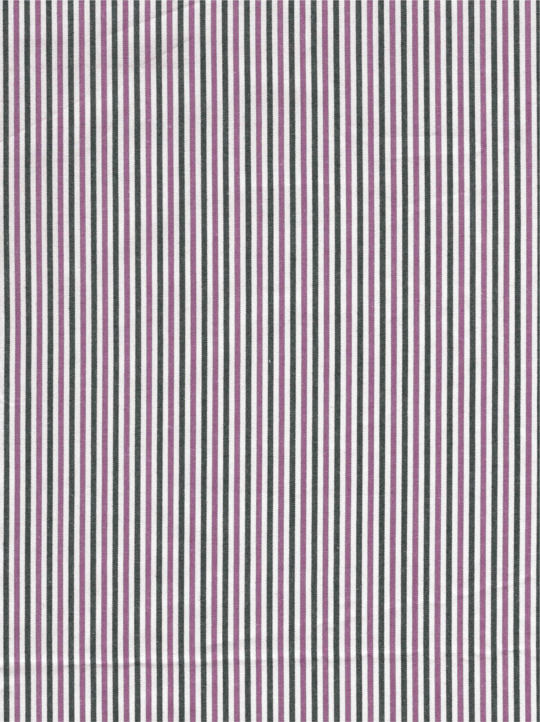 Poplin Gingham Stripe