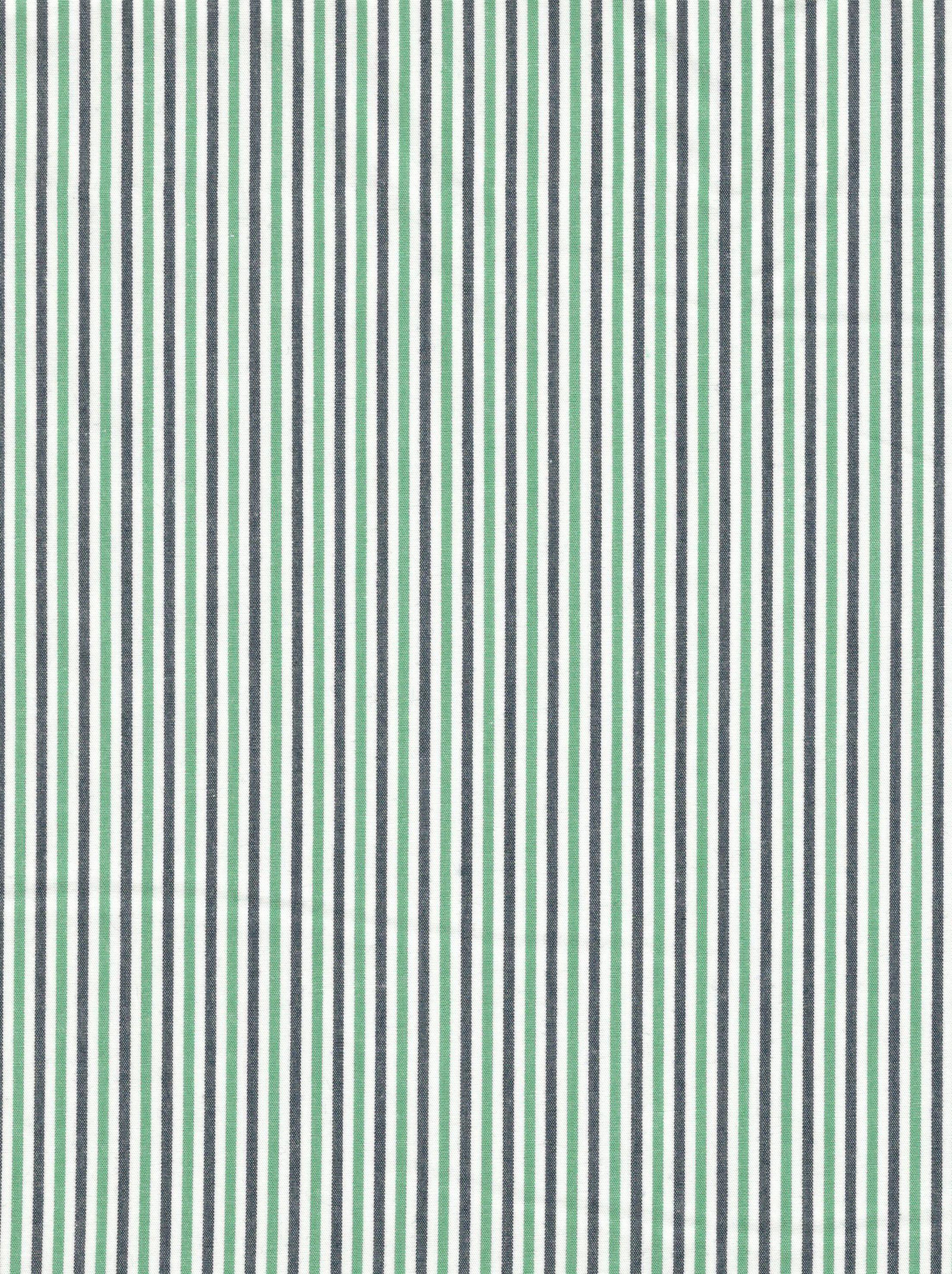 Poplin Gingham Stripe