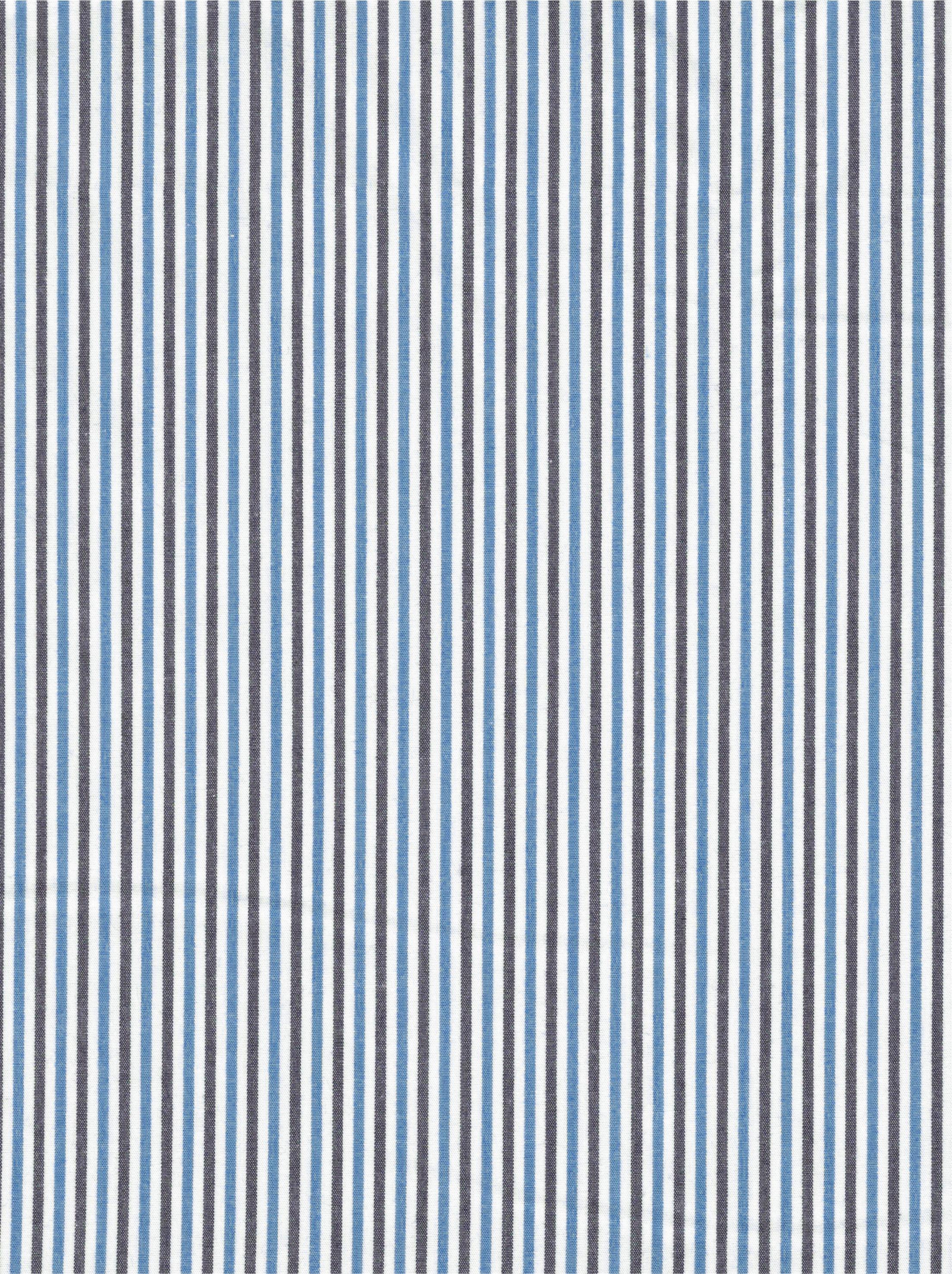 Poplin Gingham Stripe
