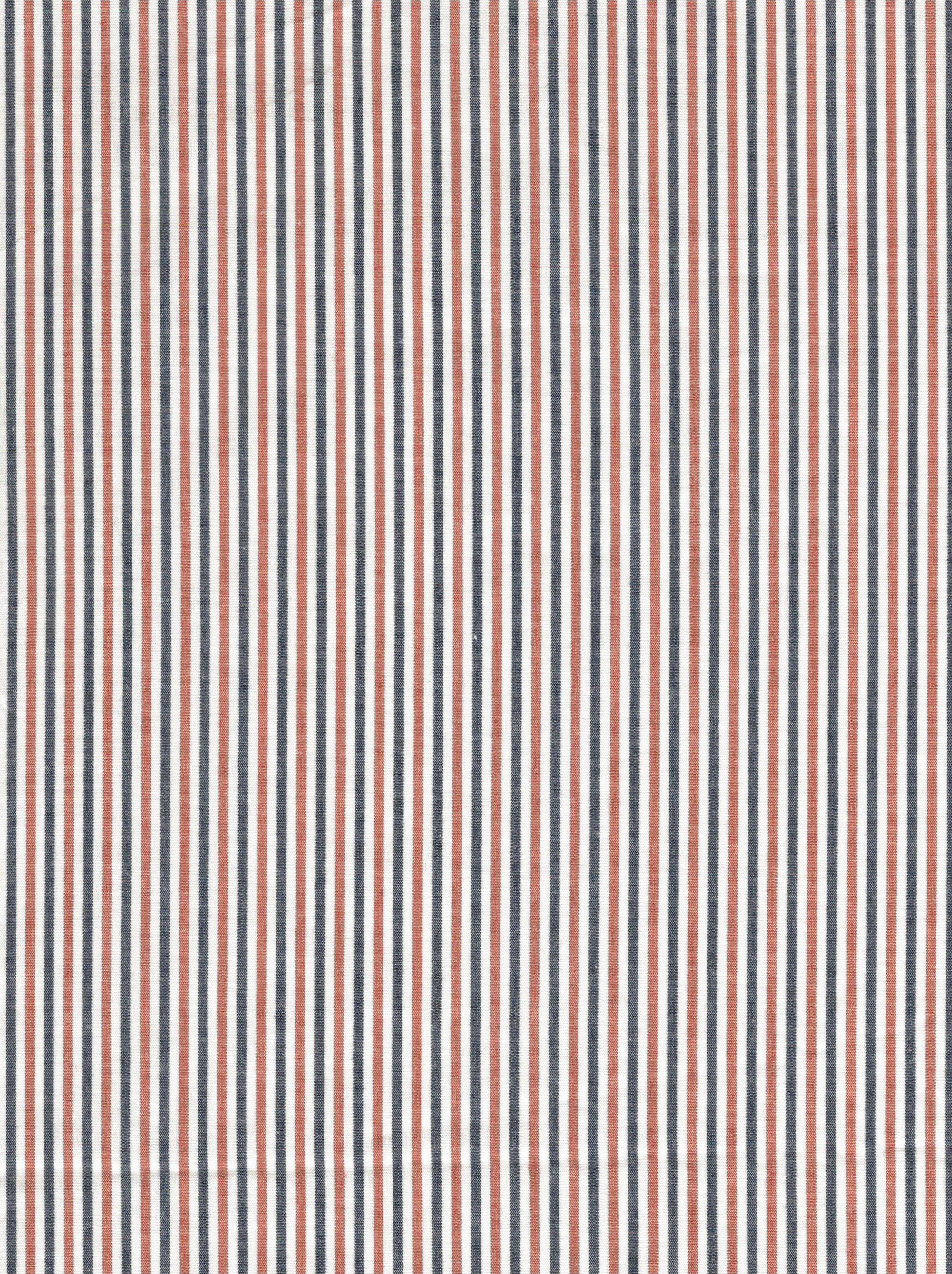 Poplin Gingham Stripe
