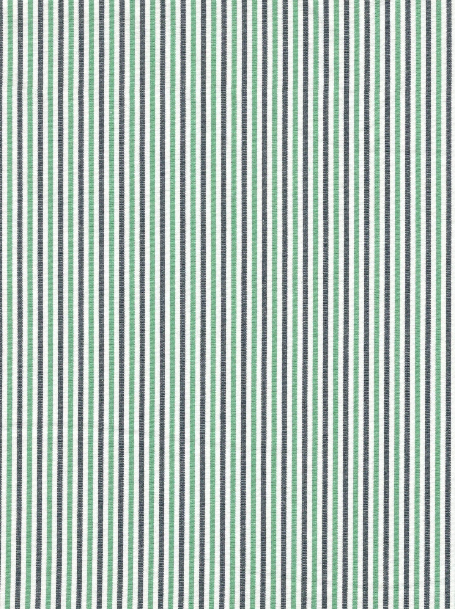 Poplin Gingham Stripe 1007E