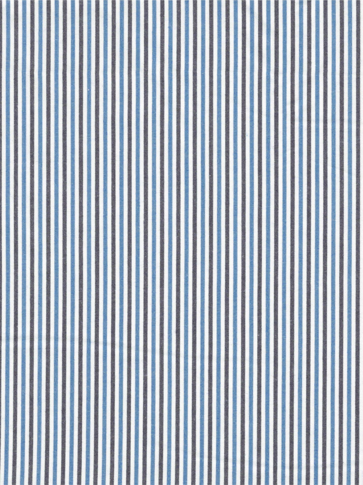 Poplin Gingham Stripe