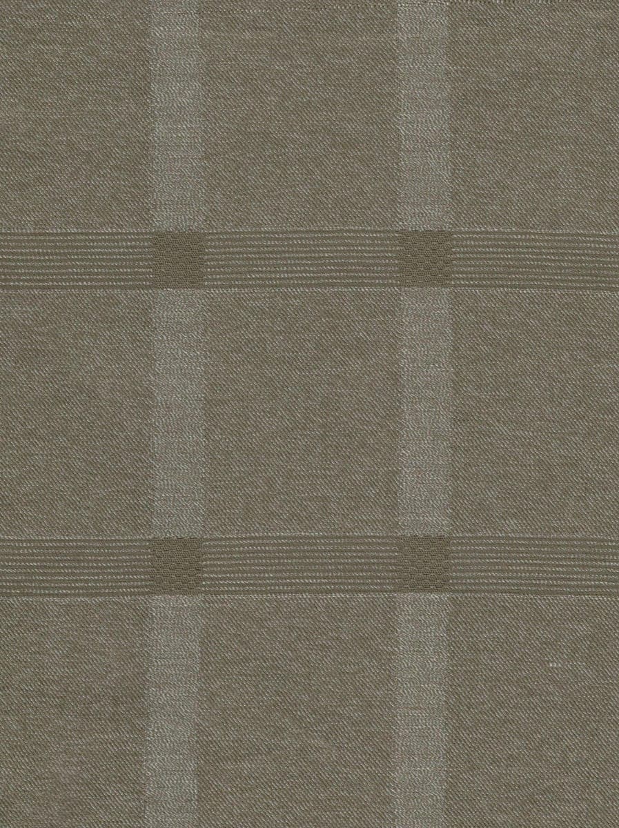 Yarn Dyed Self Dobby Checks 9116A